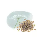Aniseed - SOHI Premium Natural Wellness