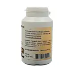 Cordyceps - SOHI Premium Natural Wellness
