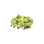 Cardamon / Kardamons (Elettaria cardamomum), essential oil / ēteriskā eļļa - SOHI Premium Natural Wellness
