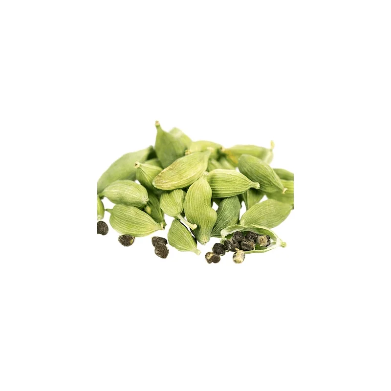 Cardamon / Kardamons (Elettaria cardamomum), essential oil / ēteriskā eļļa - SOHI Premium Natural Wellness
