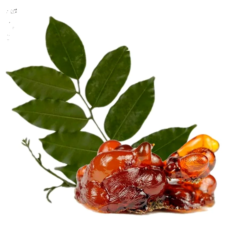 Peru balsam / Peru Balzams (Myroxylon pereirae), ēteriskā eļļa - SOHI Premium Natural Wellness
