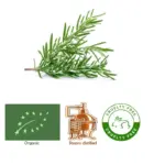 Rosemarine (Rosemarinus officinalis) Organic - SOHI Premium Natural Wellness